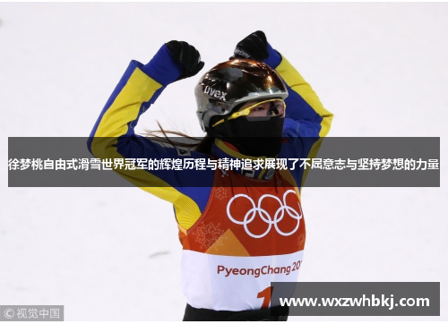 徐梦桃自由式滑雪世界冠军的辉煌历程与精神追求展现了不屈意志与坚持梦想的力量 徐梦桃自由式滑雪世界冠军的辉煌历程与精神追求展现了不屈意志与坚持梦想的力量