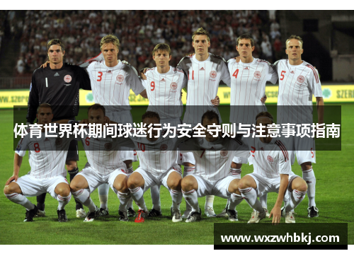 体育世界杯期间球迷行为安全守则与注意事项指南 体育世界杯期间球迷行为安全守则与注意事项指南