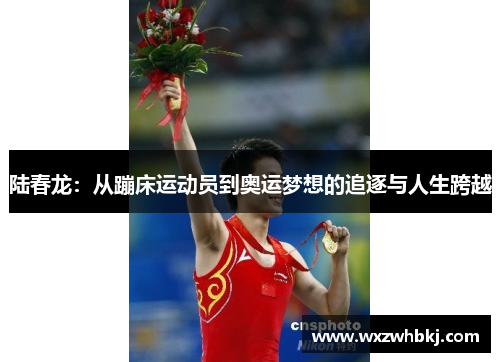 陆春龙:从蹦床运动员到奥运梦想的追逐与人生跨越 陆春龙:从蹦床运动员到奥运梦想的追逐与人生跨越