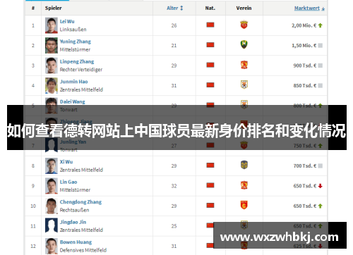 如何查看德转网站上中国球员最新身价排名和变化情况