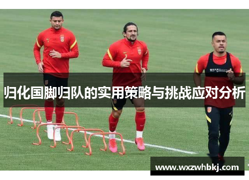 归化国脚归队的实用策略与挑战应对分析 归化国脚归队的实用策略与挑战应对分析