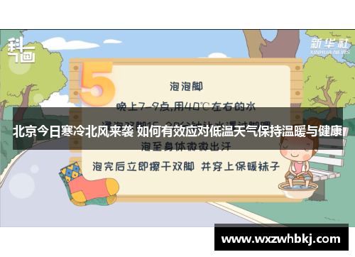 北京今日寒冷北风来袭 如何有效应对低温天气保持温暖与健康 北京今日寒冷北风来袭 如何有效应对低温天气保持温暖与健康