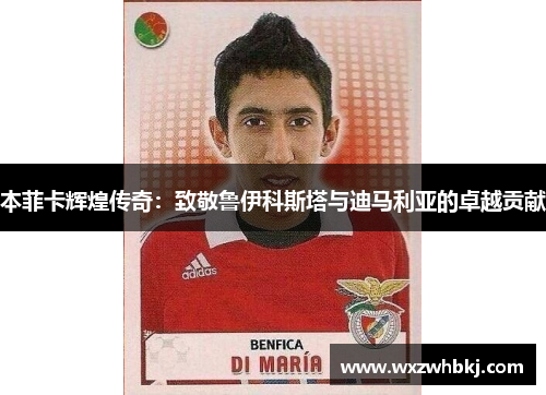 本菲卡辉煌传奇:致敬鲁伊科斯塔与迪马利亚的卓越贡献 本菲卡辉煌传奇:致敬鲁伊科斯塔与迪马利亚的卓越贡献