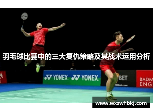 羽毛球比赛中的三大复仇策略及其战术运用分析