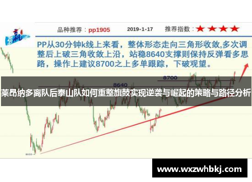 莱昂纳多离队后泰山队如何重整旗鼓实现逆袭与崛起的策略与路径分析 莱昂纳多离队后泰山队如何重整旗鼓实现逆袭与崛起的策略与路径分析