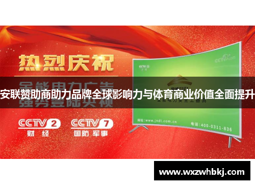 安联赞助商助力品牌全球影响力与体育商业价值全面提升 安联赞助商助力品牌全球影响力与体育商业价值全面提升