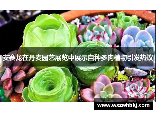 安赛龙在丹麦园艺展览中展示自种多肉植物引发热议