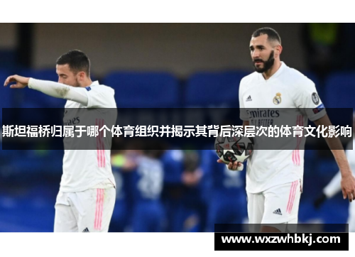 斯坦福桥归属于哪个体育组织并揭示其背后深层次的体育文化影响